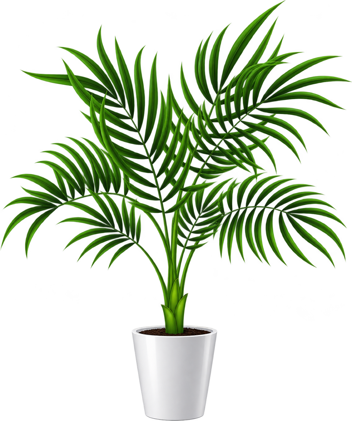 Pot de fleur